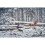 Profesjonalna pilarka Husqvarna 560 XP® G Mark II
